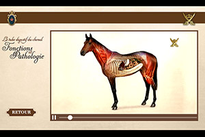 Borne interactive : Tube digestif du cheval - Salon du Cheval 2016