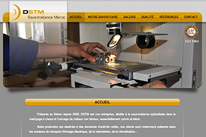 www.decayeuxstm.com