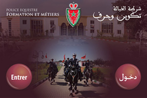 Borne interactive : Police Equestre